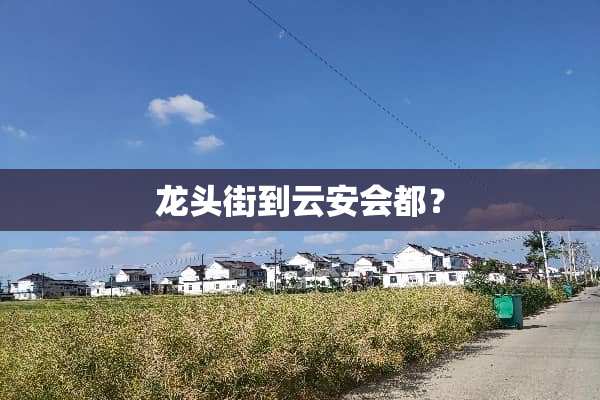 龙头街到云安会都？