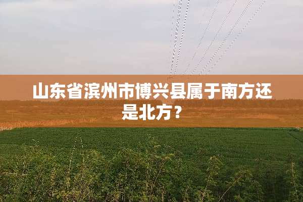 山东省滨州市博兴县属于南方还是北方？