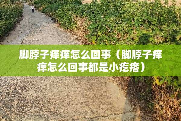 脚脖子痒痒怎么回事（脚脖子痒痒怎么回事都是小疙瘩）