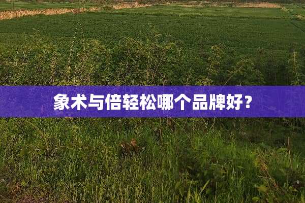 象术与倍轻松哪个品牌好？
