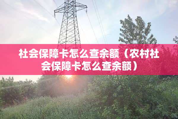 社会保障卡怎么查余额（农村社会保障卡怎么查余额）