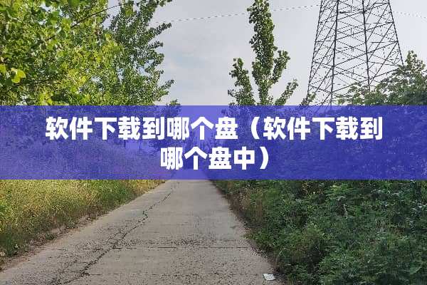 软件下载到哪个盘（软件下载到哪个盘中）