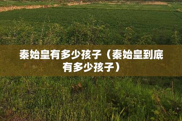 秦始皇有多少孩子（秦始皇到底有多少孩子）
