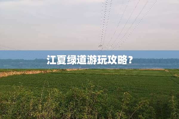 江夏绿道游玩攻略？