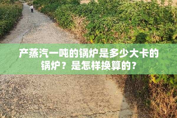 产蒸汽一吨的锅炉是多少大卡的锅炉？是怎样换算的？
