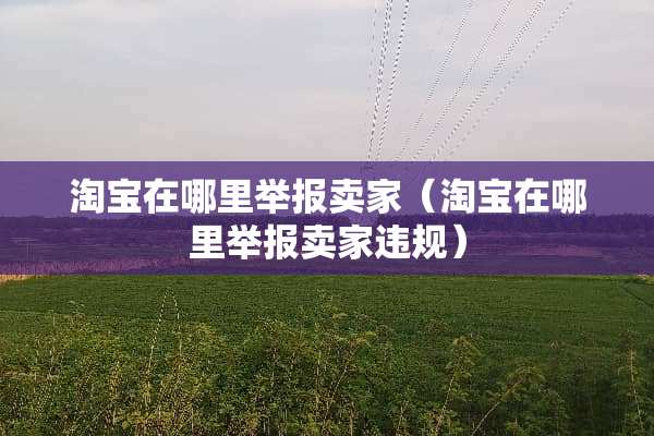 淘宝在哪里举报卖家（淘宝在哪里举报卖家违规）