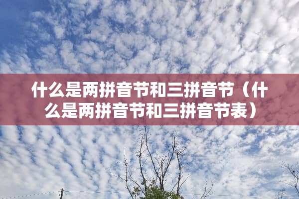 什么是两拼音节和三拼音节（什么是两拼音节和三拼音节表）