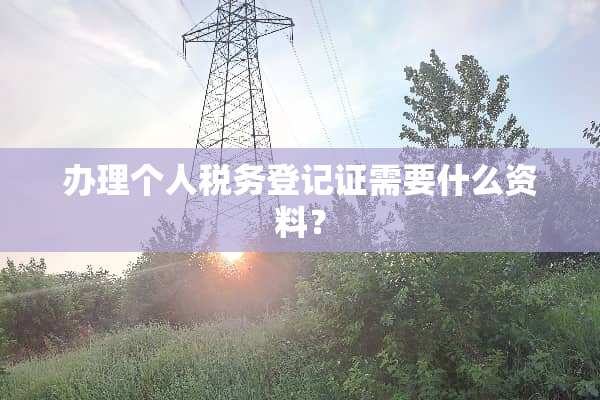 办理个人税务登记证需要什么资料？