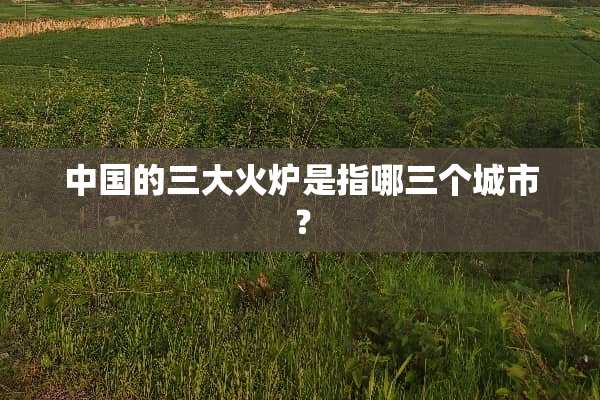 中国的三大火炉是指哪三个城市？