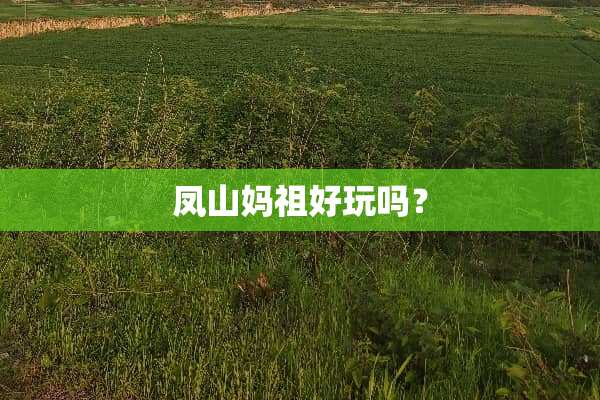 凤山妈祖好玩吗？