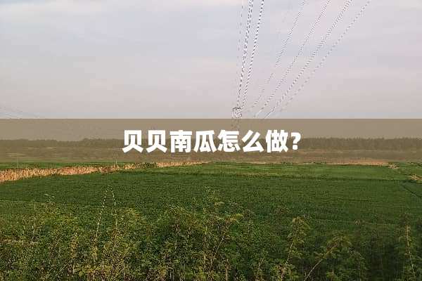 贝贝南瓜怎么做？