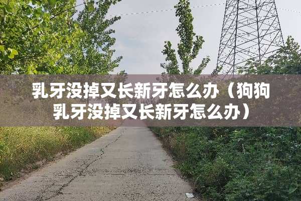 *牙没掉又长新牙怎么办（狗狗*牙没掉又长新牙怎么办）