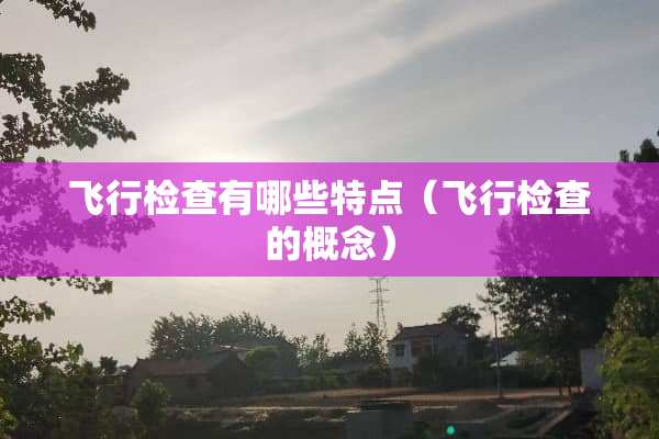 飞行检查有哪些特点（飞行检查的概念）