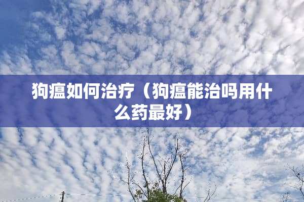 狗瘟如何治疗（狗瘟能治吗用什么药最好）