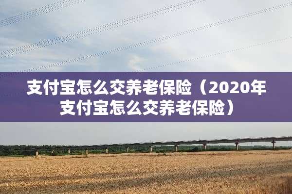 支付宝怎么交养老保险（2020年支付宝怎么交养老保险）