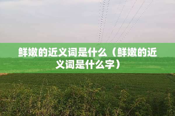 鲜嫩的近义词是什么（鲜嫩的近义词是什么字）