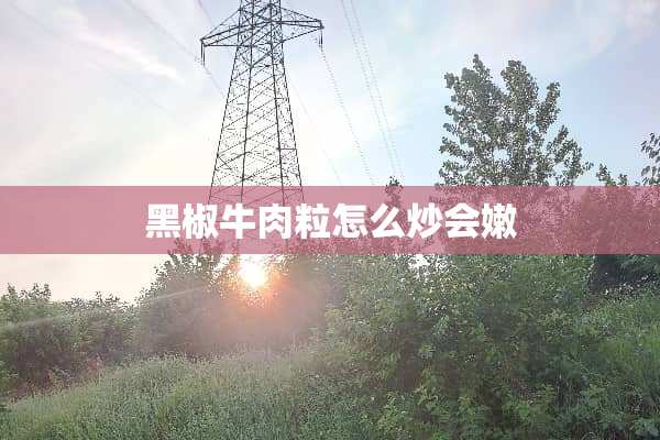 黑椒牛肉粒怎么炒会嫩