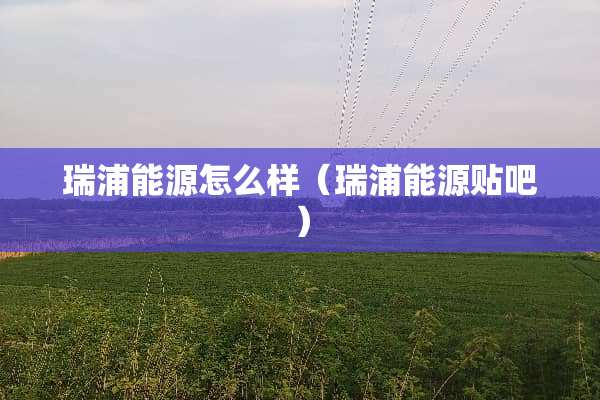 瑞浦能源怎么样（瑞浦能源贴吧）