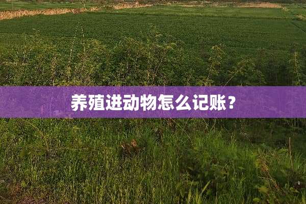 养殖进动物怎么记账？