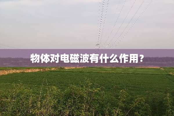 物体对电磁波有什么作用？