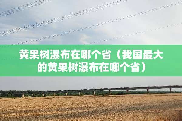 黄果树瀑布在哪个省（我国最大的黄果树瀑布在哪个省）