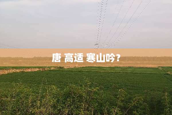 唐 高适 寒山吟？