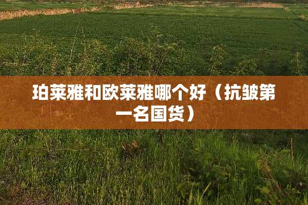 珀莱雅和欧莱雅哪个好（抗皱第一名国货）