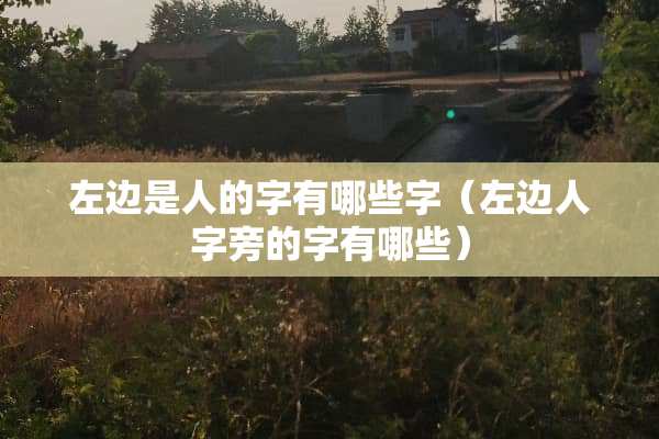 左边是人的字有哪些字（左边人字旁的字有哪些）