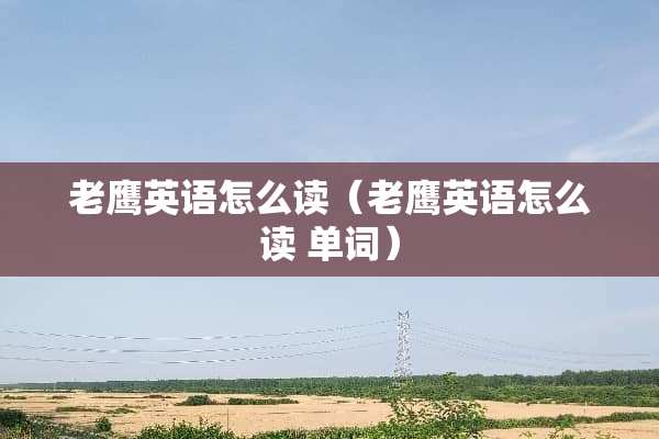 老鹰英语怎么读（老鹰英语怎么读 单词）
