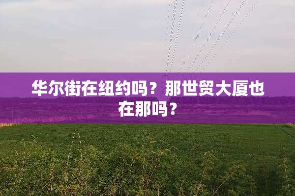 华尔街在纽约吗？那世贸大厦也在那吗？