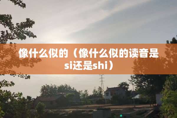 像什么似的（像什么似的读音是si还是shi）