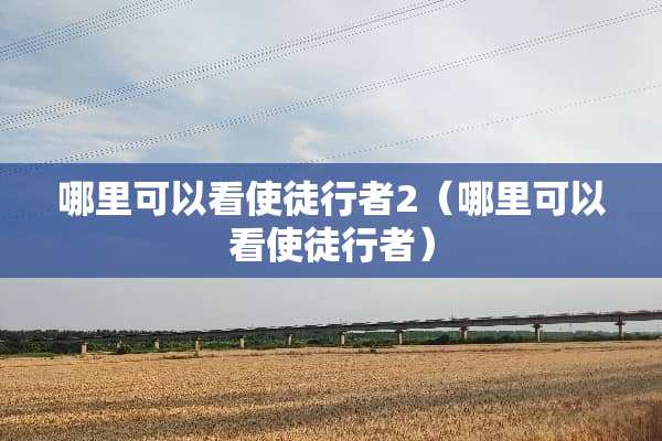 哪里可以看使徒行者2（哪里可以看使徒行者）