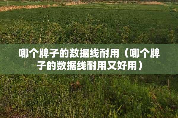 哪个牌子的数据线耐用（哪个牌子的数据线耐用又好用）