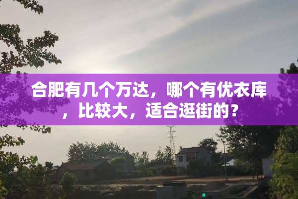 合肥有几个万达，哪个有优衣库，比较大，适合逛街的？