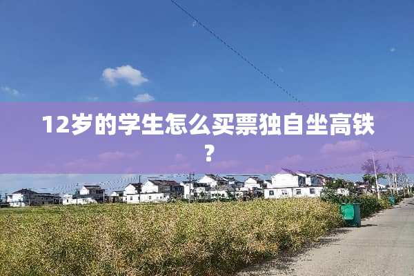 12岁的学生怎么买票独自坐高铁？