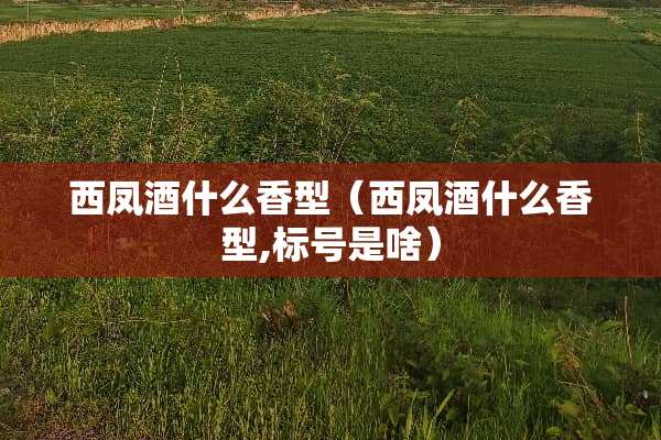 西凤酒什么香型（西凤酒什么香型,标号是啥）