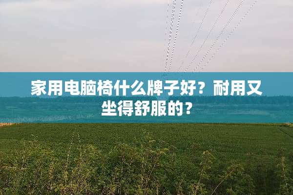 家用电脑椅什么牌子好？耐用又坐得舒服的？