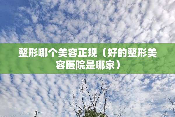 整形哪个美容正规（好的整形美容医院是哪家）