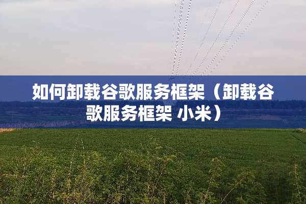如何卸载谷歌服务框架（卸载谷歌服务框架 小米）