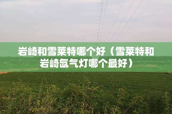 岩崎和雪莱特哪个好（雪莱特和岩崎氙气灯哪个最好）