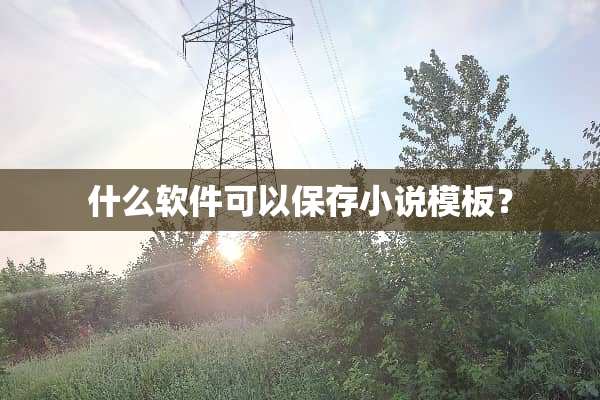 什么软件可以保存小说模板？