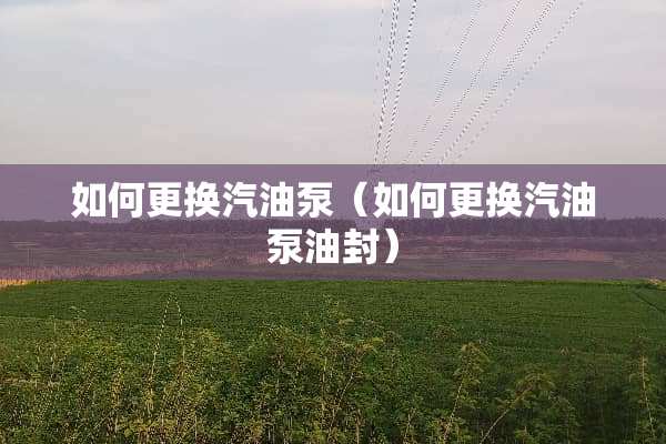 如何更换汽油泵（如何更换汽油泵油封）