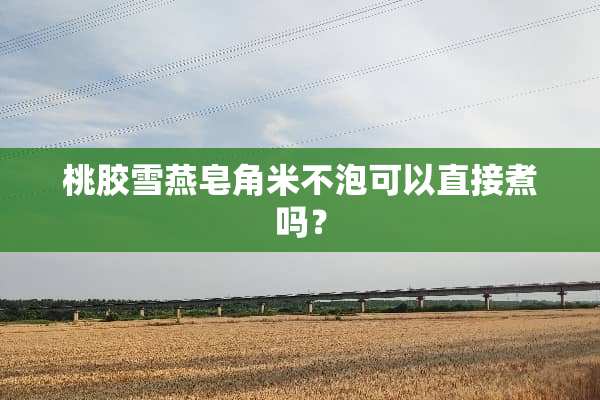 桃胶雪燕皂角米不泡可以直接煮吗？