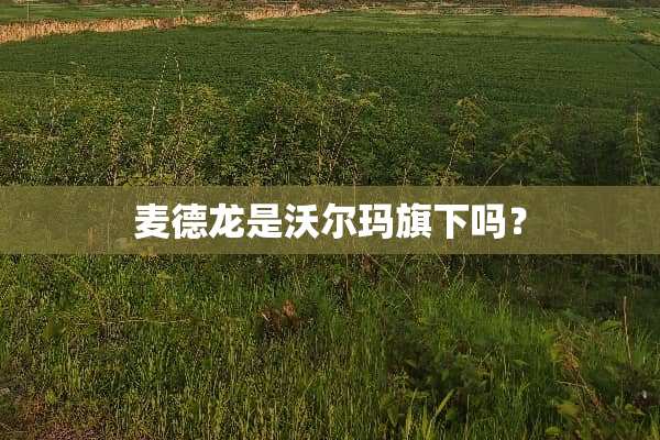 麦德龙是沃尔玛旗下吗？