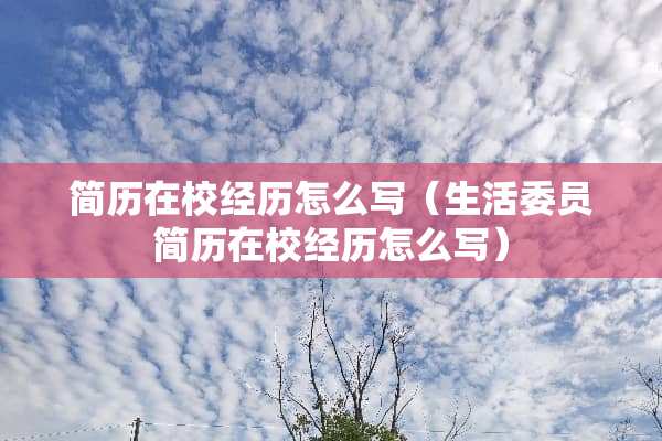 简历在校经历怎么写（生活委员简历在校经历怎么写）