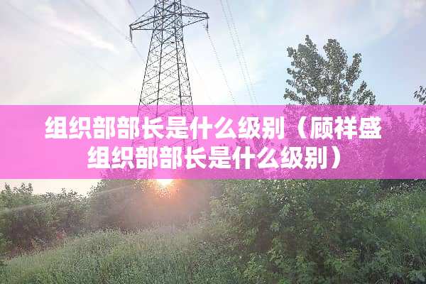 组织部部长是什么级别（顾祥盛组织部部长是什么级别）