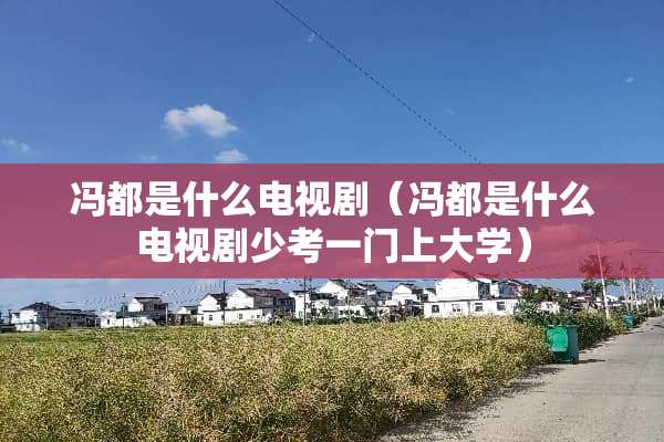 冯都是什么电视剧（冯都是什么电视剧少考一门上大学）