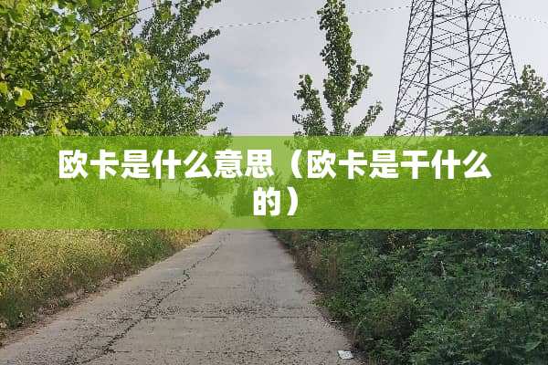 欧卡是什么意思（欧卡是干什么的）