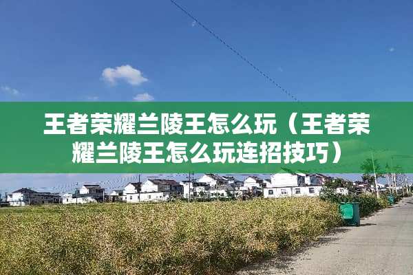 王者荣耀兰陵王怎么玩（王者荣耀兰陵王怎么玩连招技巧）