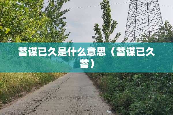 蓄谋已久是什么意思（蓄谋已久蓄）
